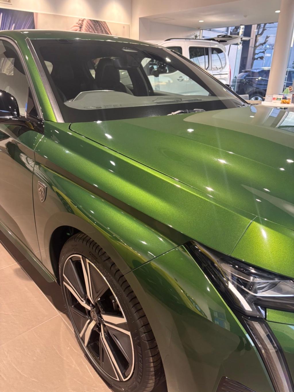 🌈PEUGEOT　 NEW COLOR LIFE