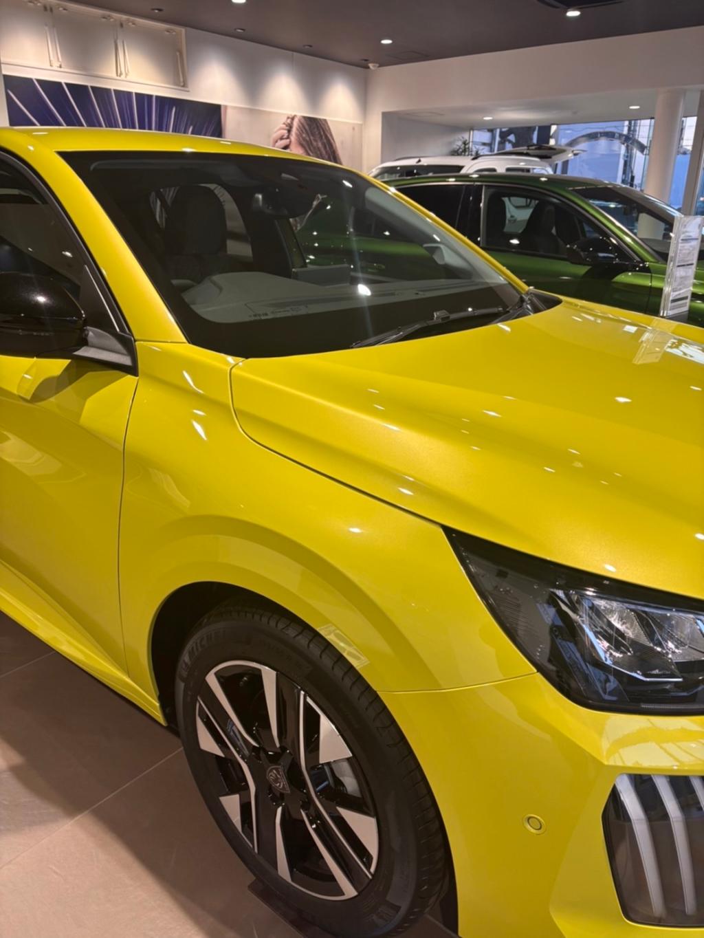🌈PEUGEOT　 NEW COLOR LIFE