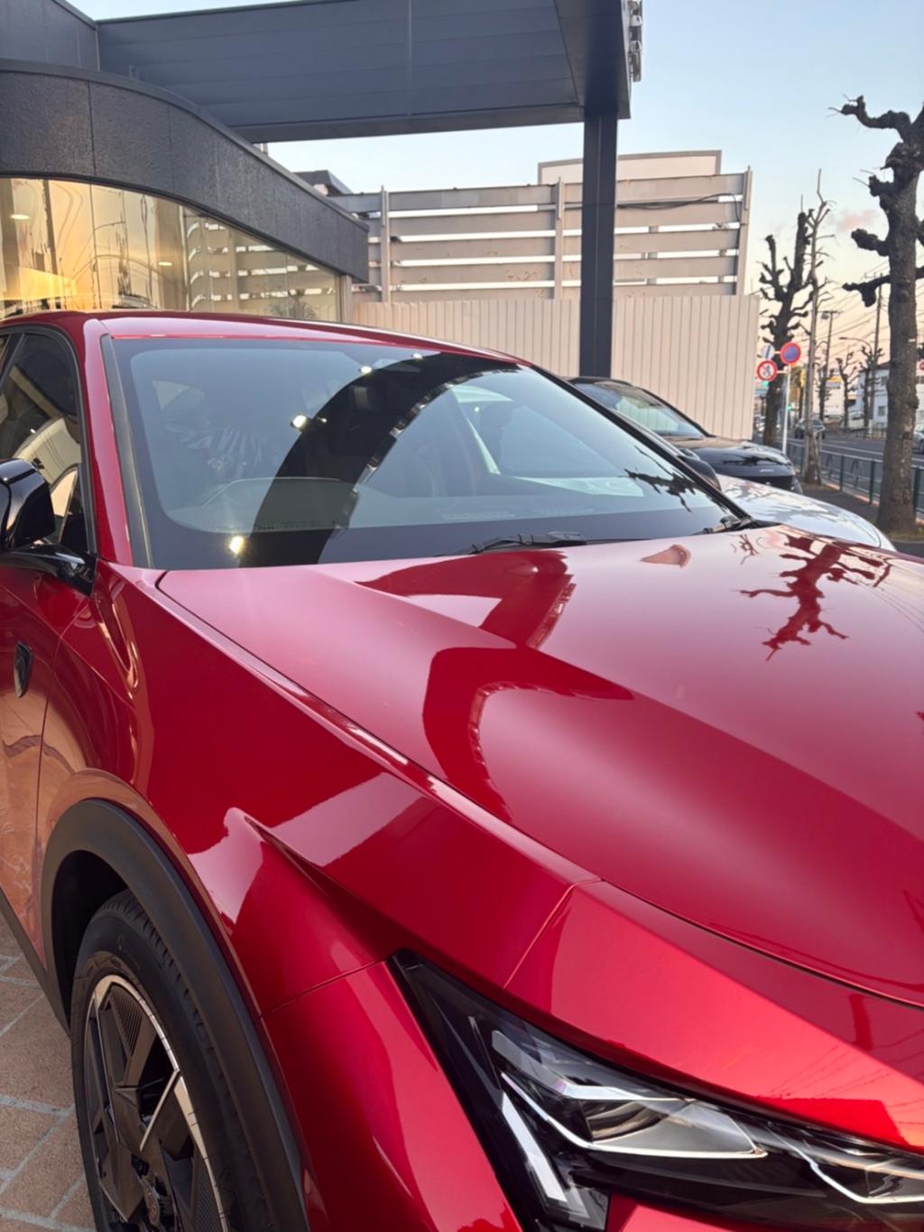 🌈PEUGEOT　 NEW COLOR LIFE
