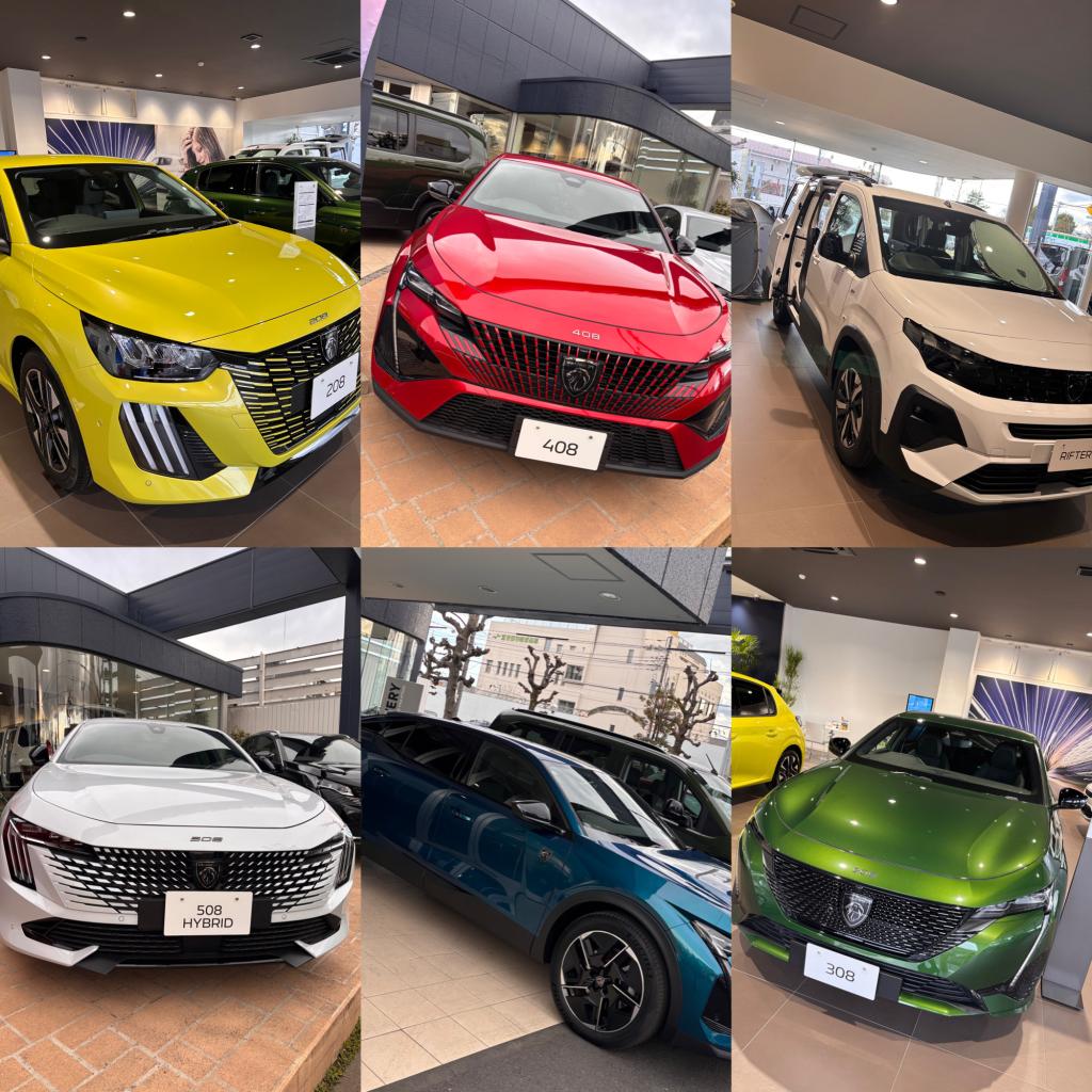 🚗展示車🚙試乗車のご案内💁🏻‍♀️