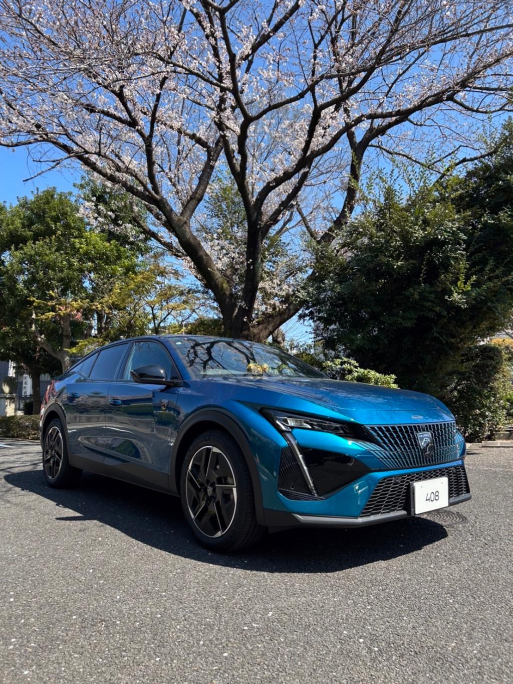 🌸PEUGEOT×SAKURA🌸