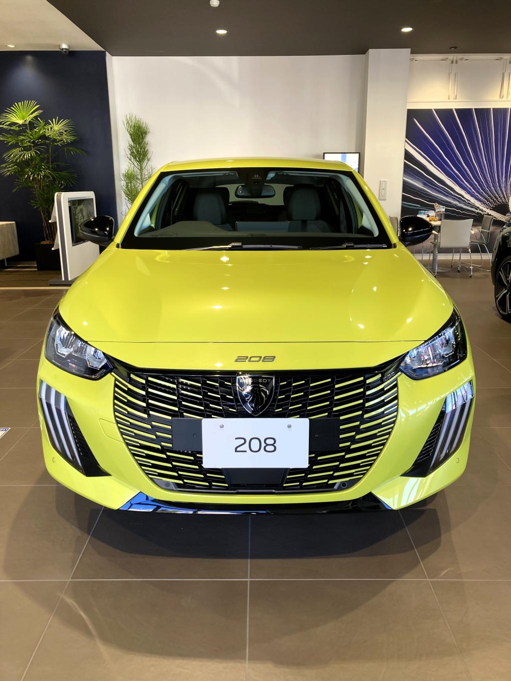 🦁PEUGEOT PETIT LION LIFE  FAIR🚗
