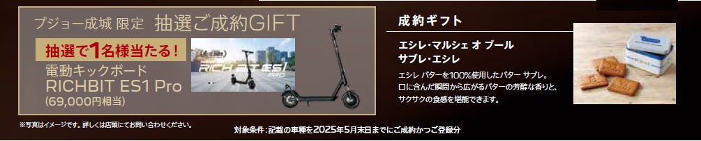 GW FAIR GIFT.jpg