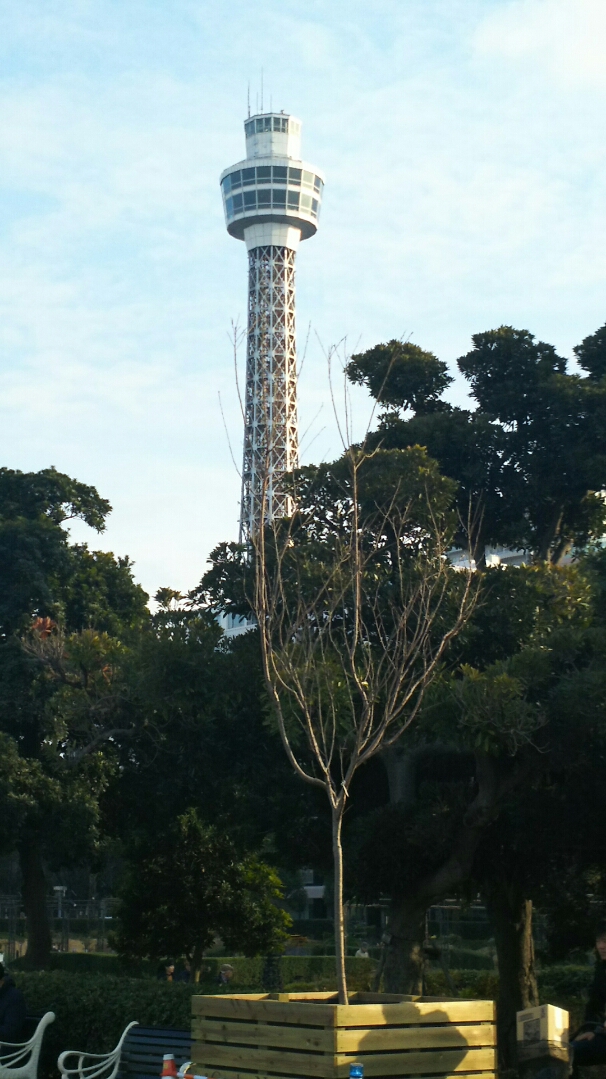 中華街から山下公園へ♪♪