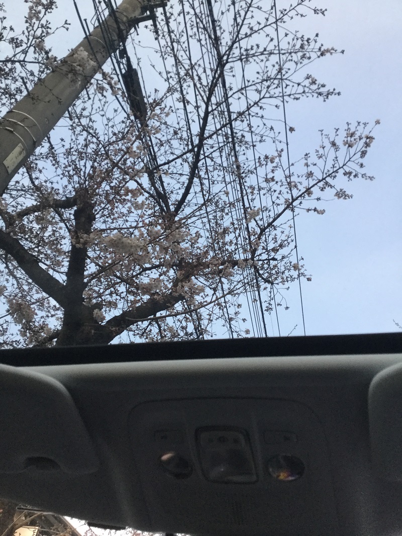 プジョー世田谷区、狛江市試乗コース