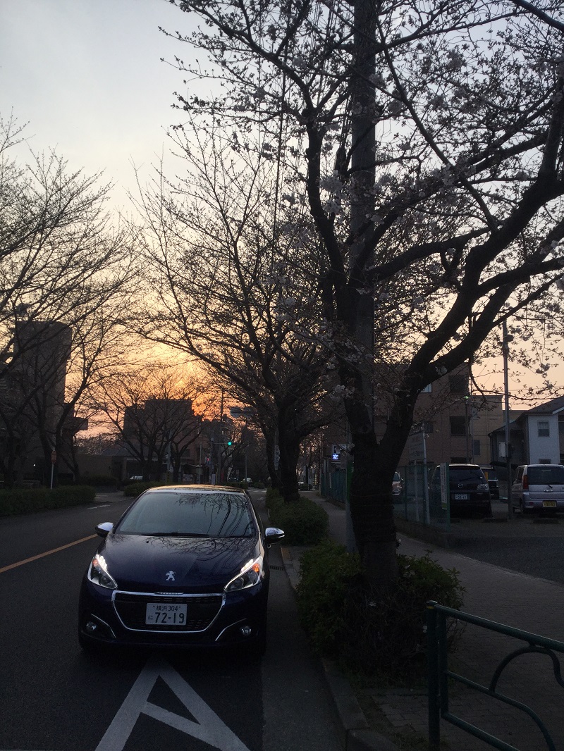 プジョー世田谷区、狛江市試乗コース