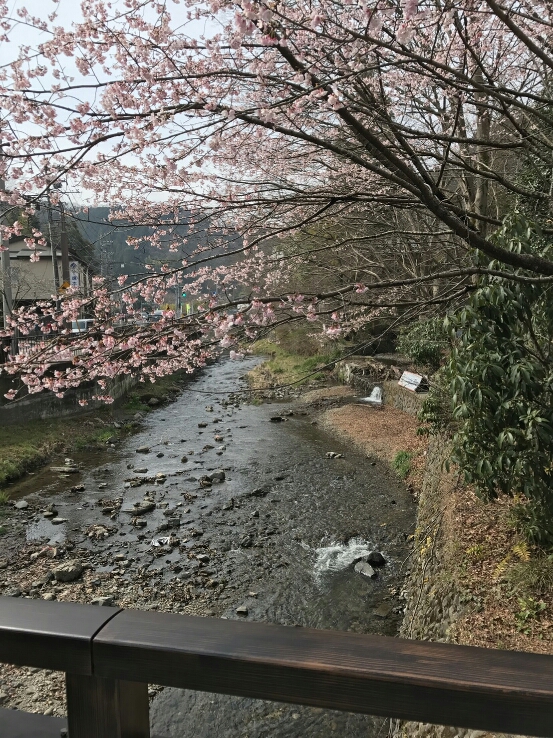 高尾山へ・・・今年の初登り