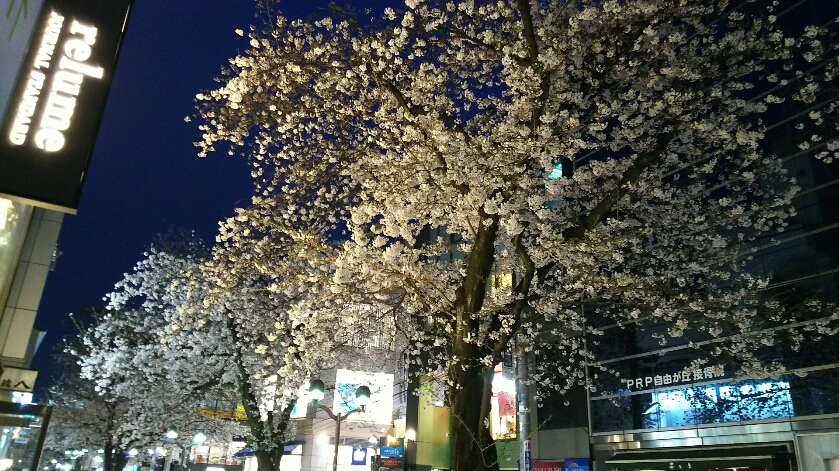 自由が丘へ♪♪