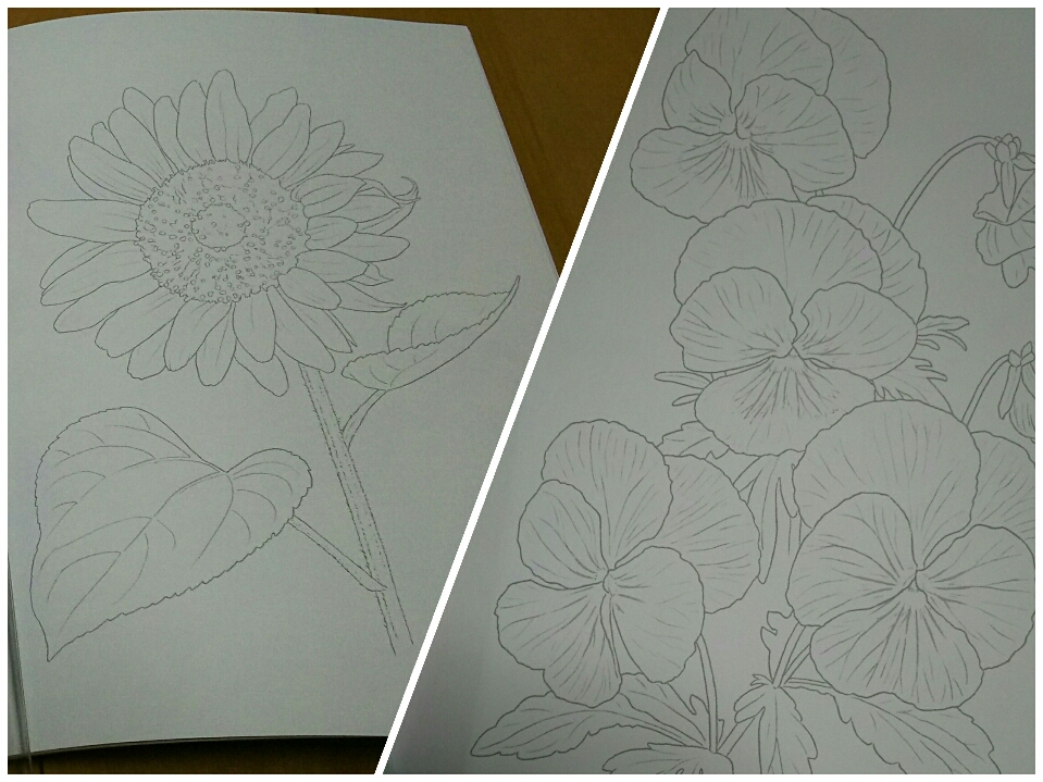 大人の塗り絵