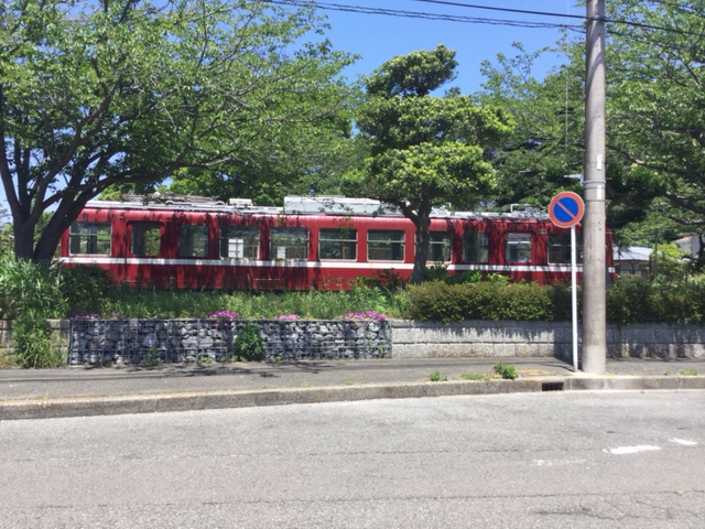 公園の中に赤い電車？