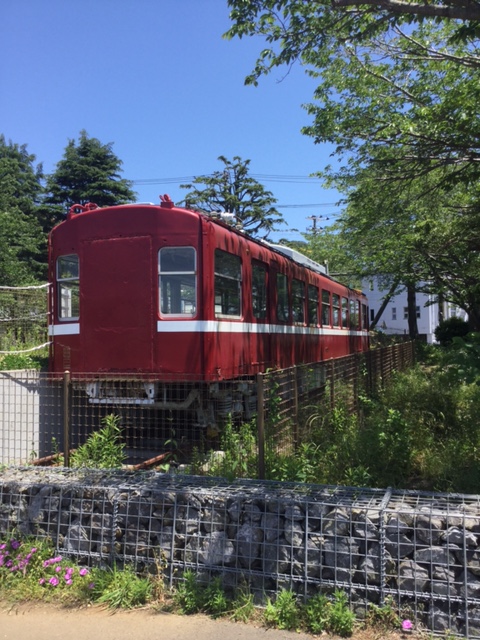 公園の中に赤い電車？