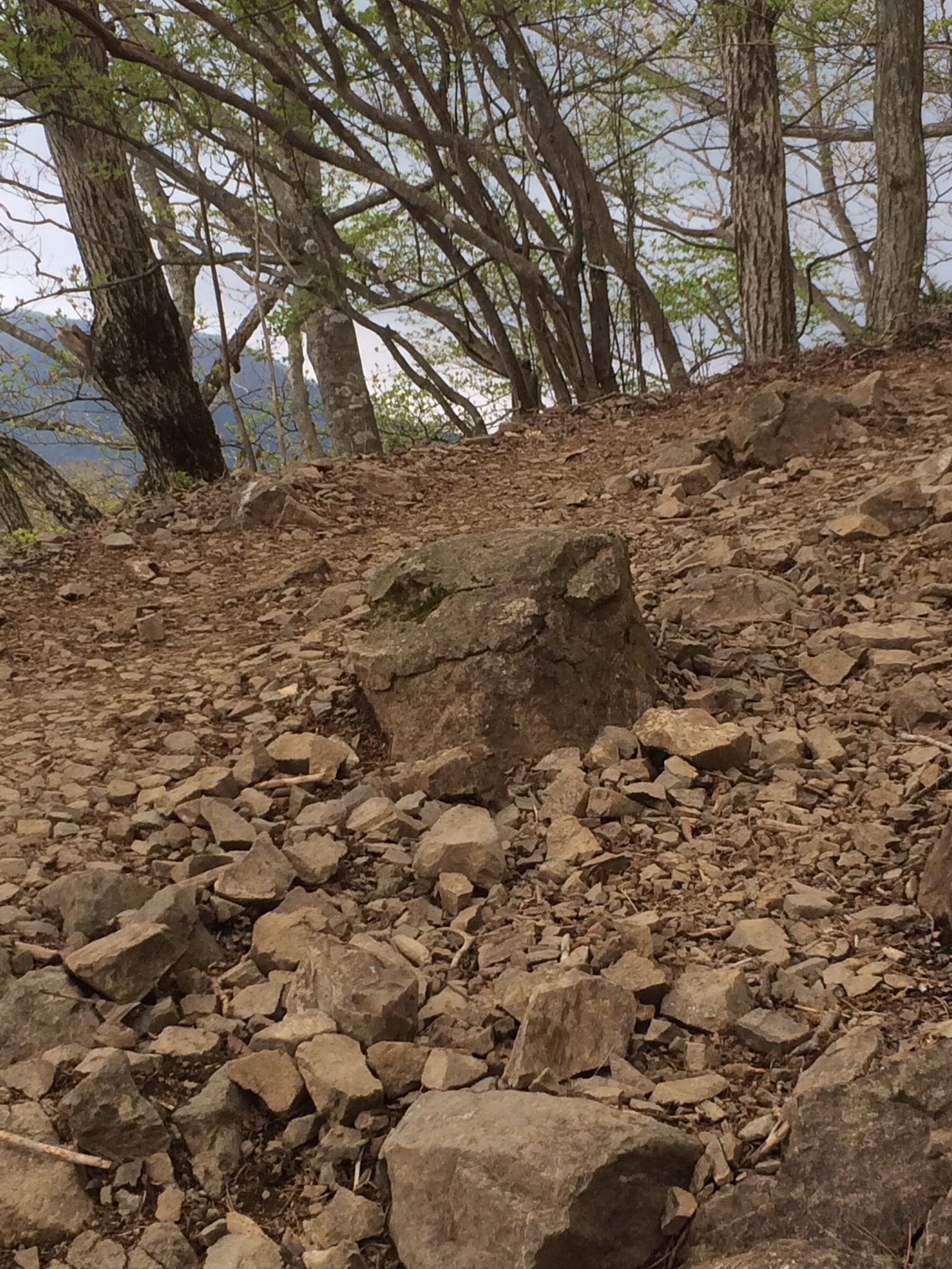 丹沢　大山登山に行ってきました。