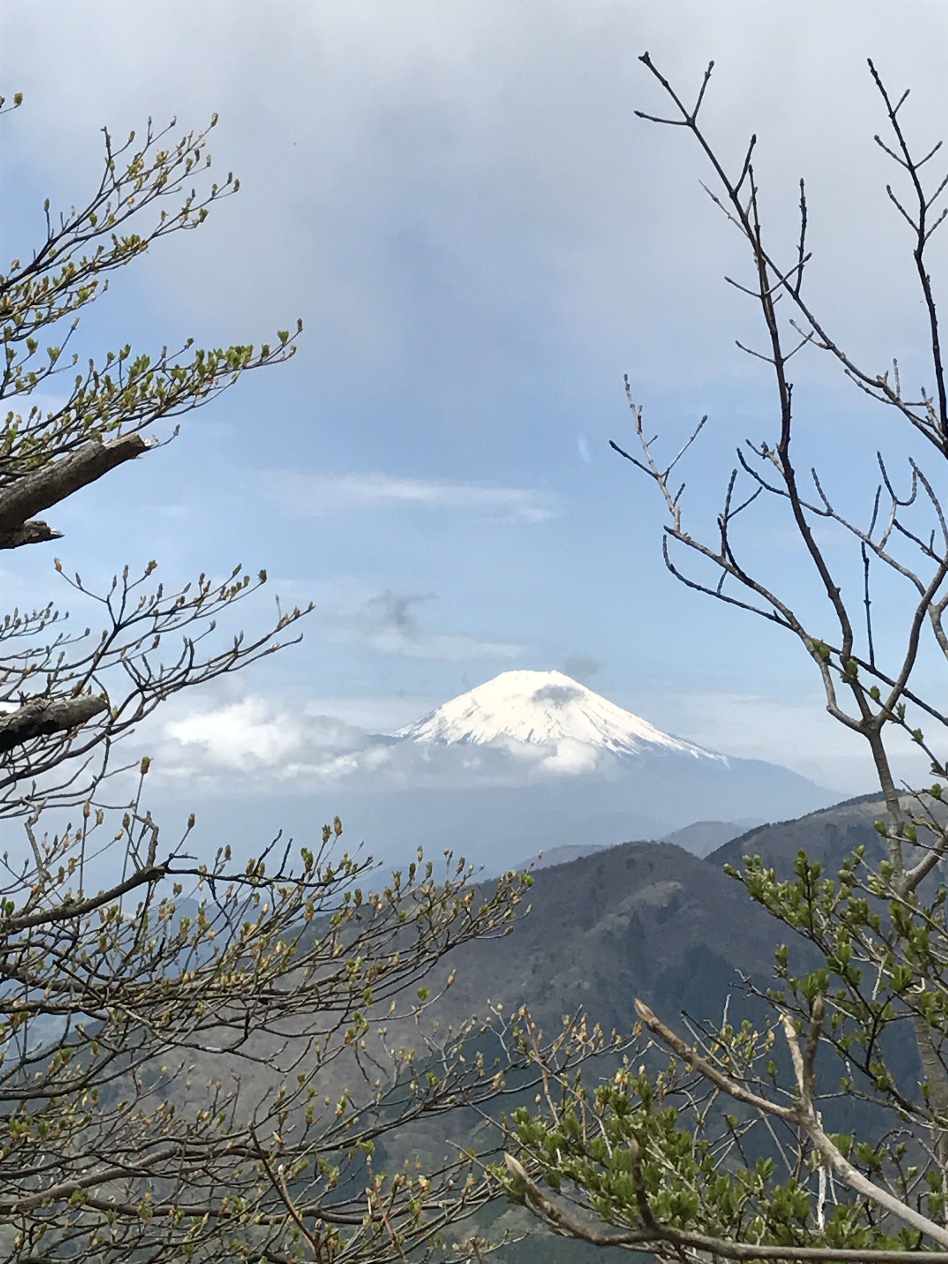 丹沢　大山登山に行ってきました。