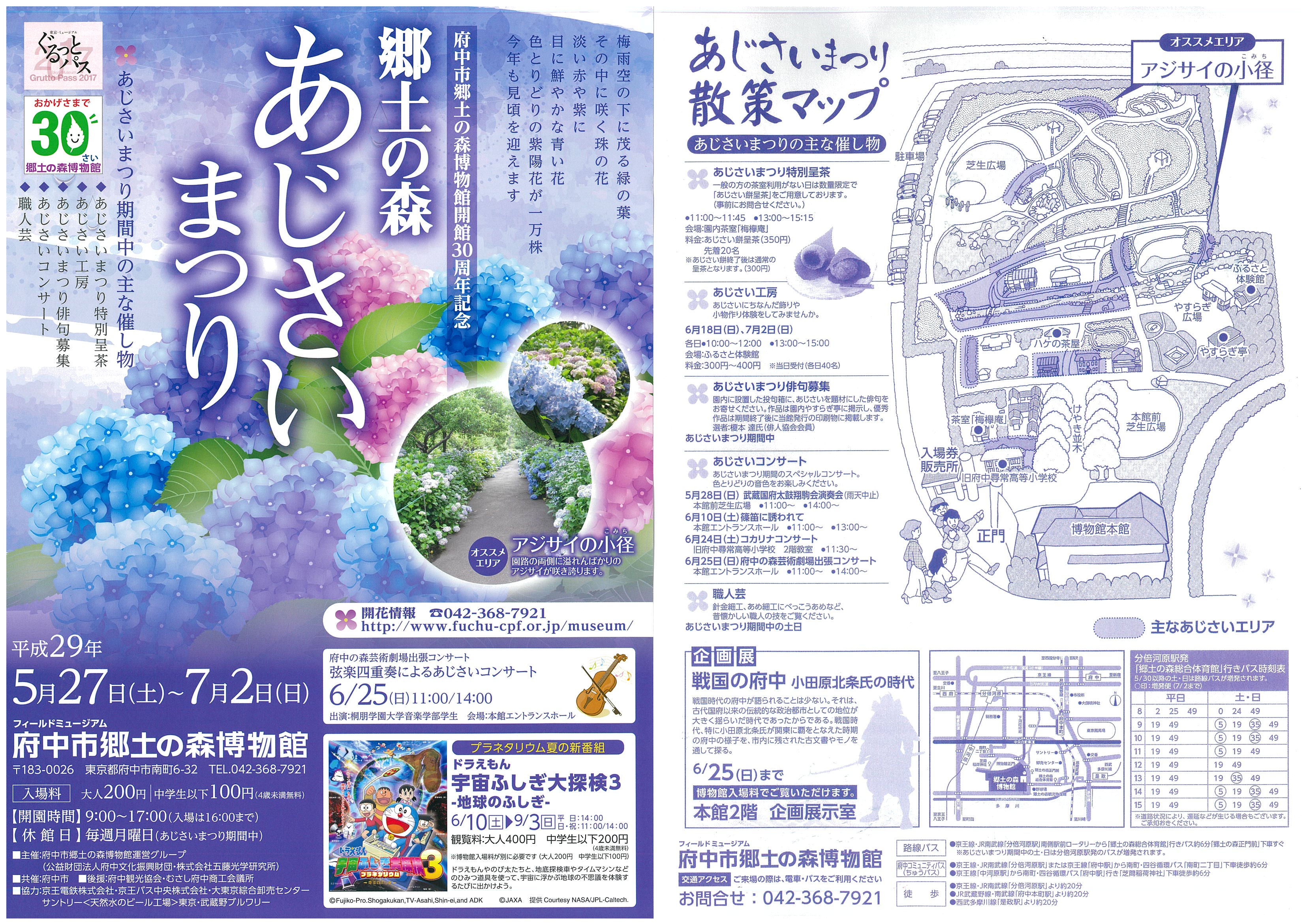 府中市郷土の森博物館さん　あじさいまつり
