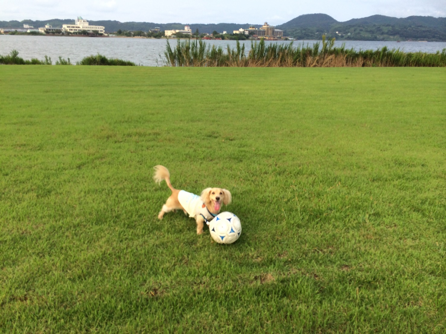 わたしの癒し(*^^*)