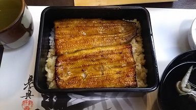 ～土用の丑～