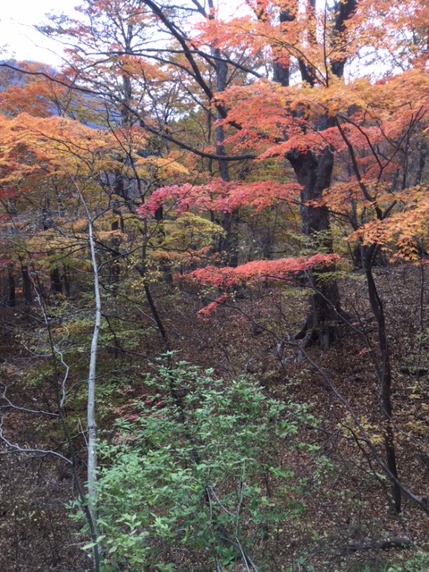 碓氷峠