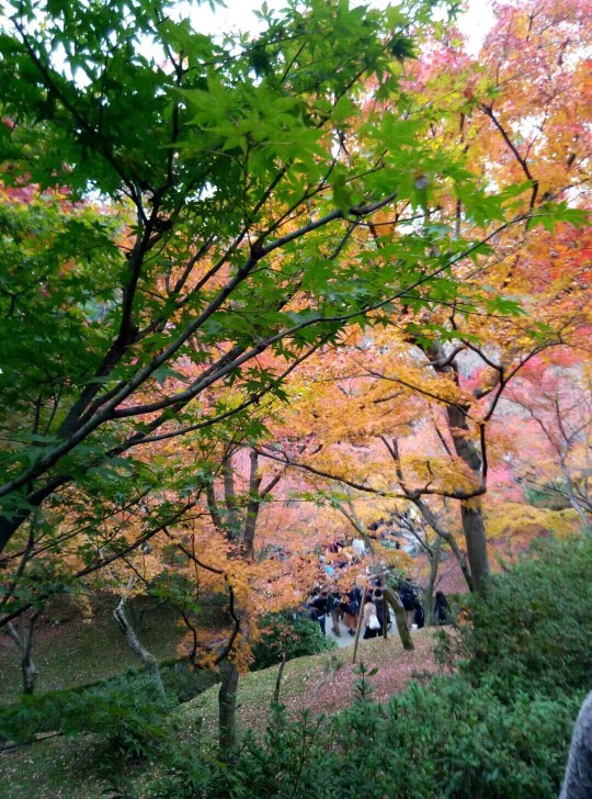 昭和記念公園