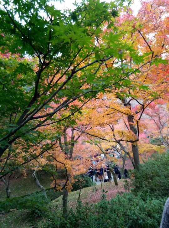 昭和記念公園