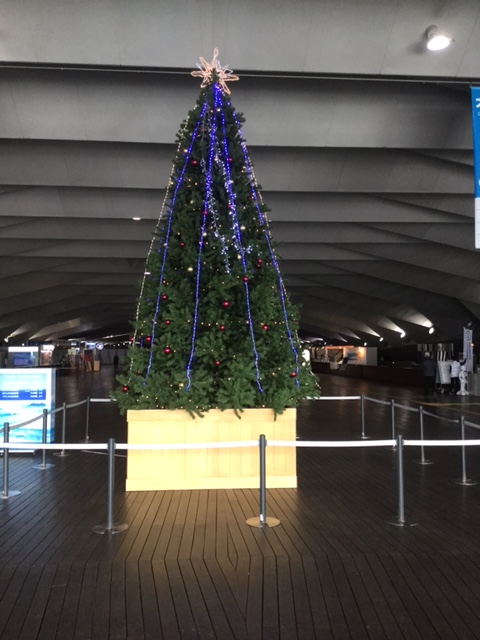 横浜港大さん橋　国際客船ターミナル