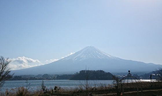 今年の初富士