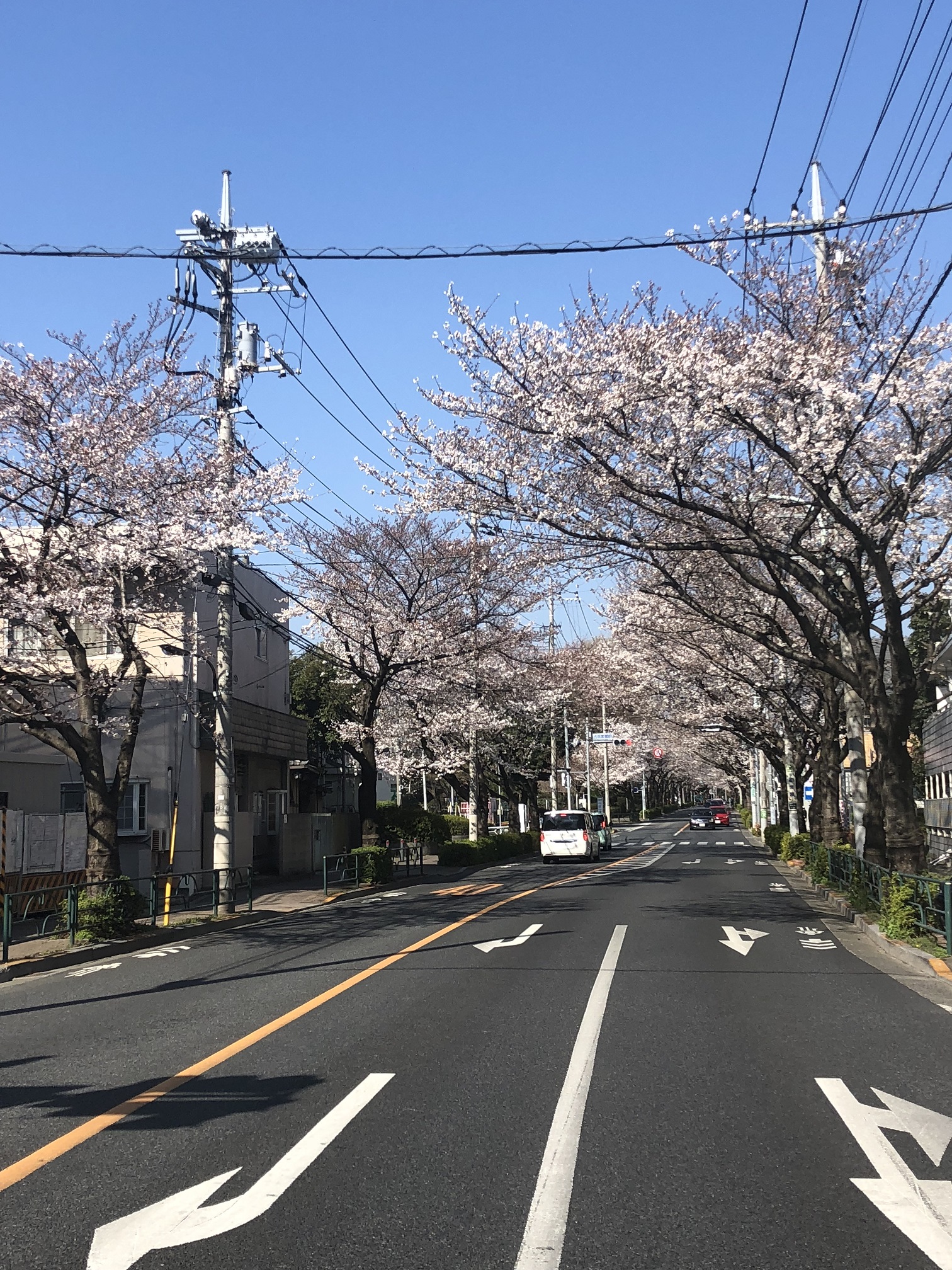 ♡ さくら ♡ 試乗コースのご紹介☆