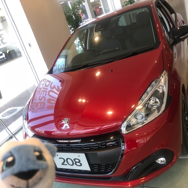 特別仕様・限定車☆PEUGEOT 208 GT Line Black Pack☆