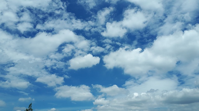 ♪　梅雨の晴れ間　♪