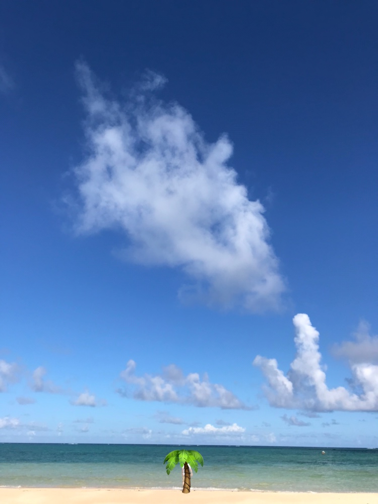 夏の海と空