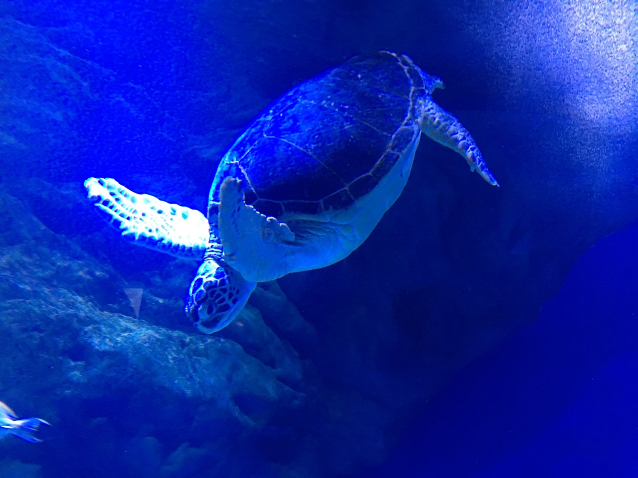 水族館