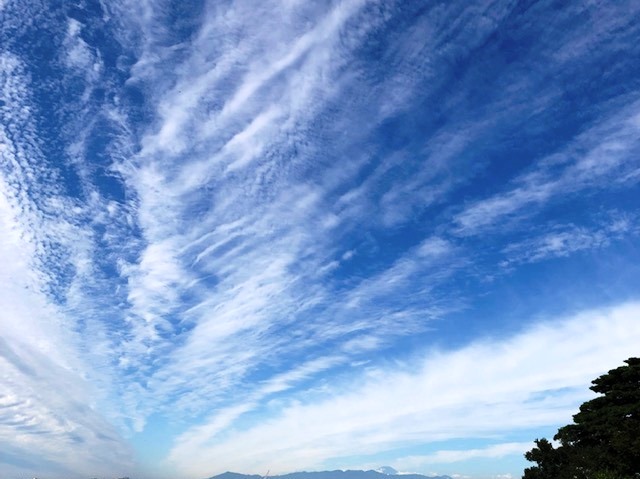 秋の空