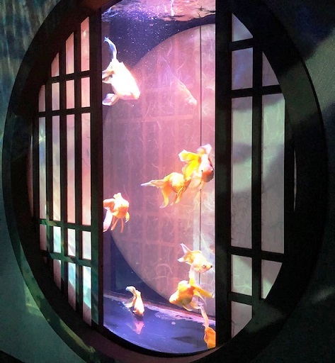 【ART AQUARIUM 美術館】