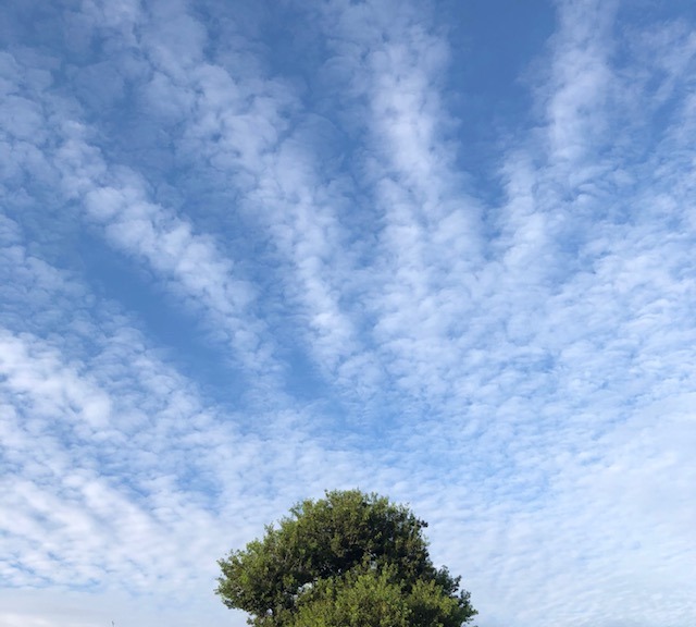 秋の空