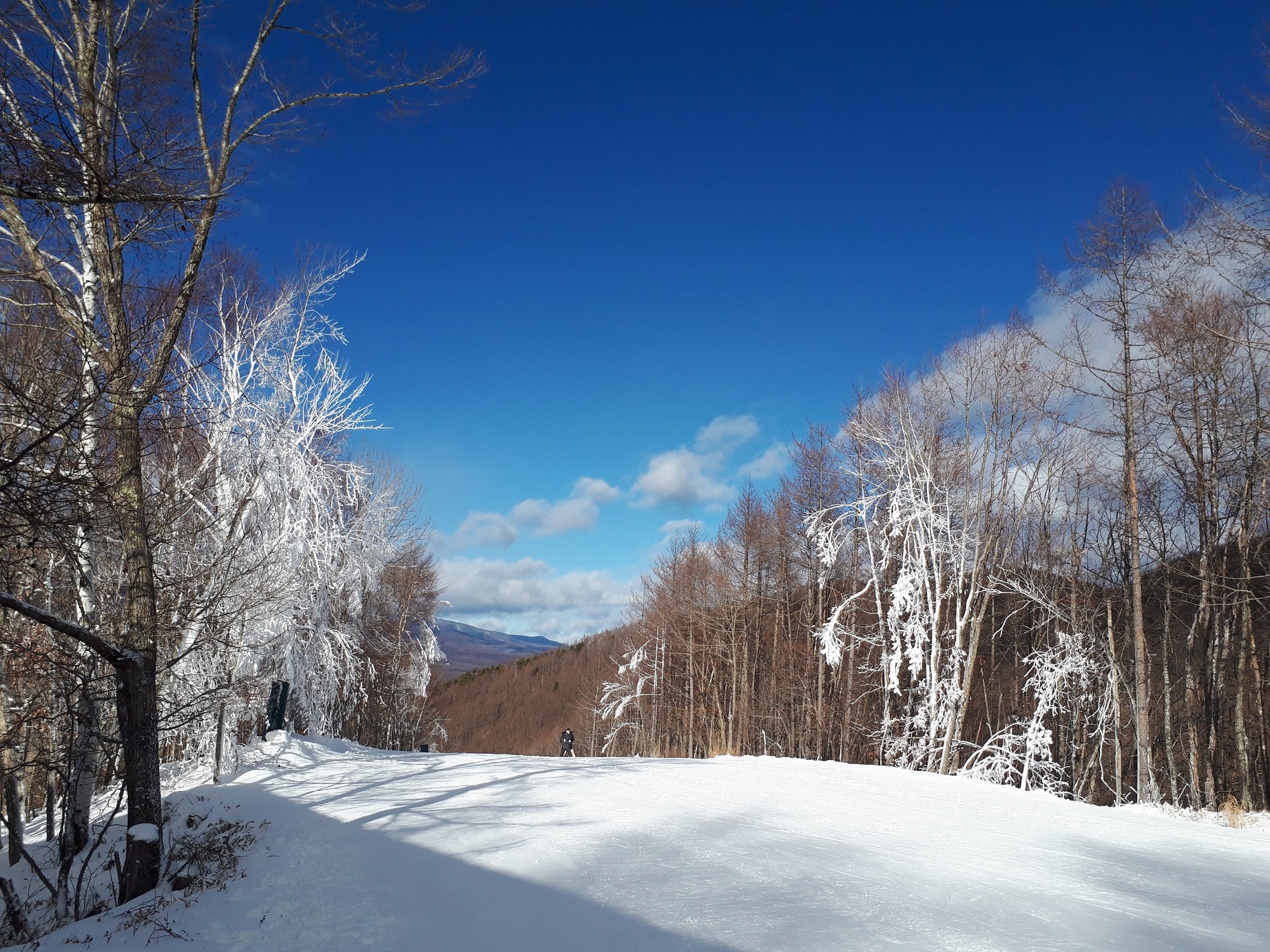 ⛄　雪山　⛄