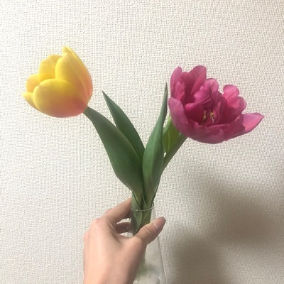 ２月＊チューリップ🌷