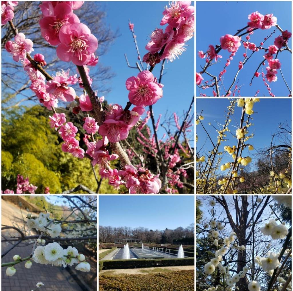 ❁神代植物公園❁