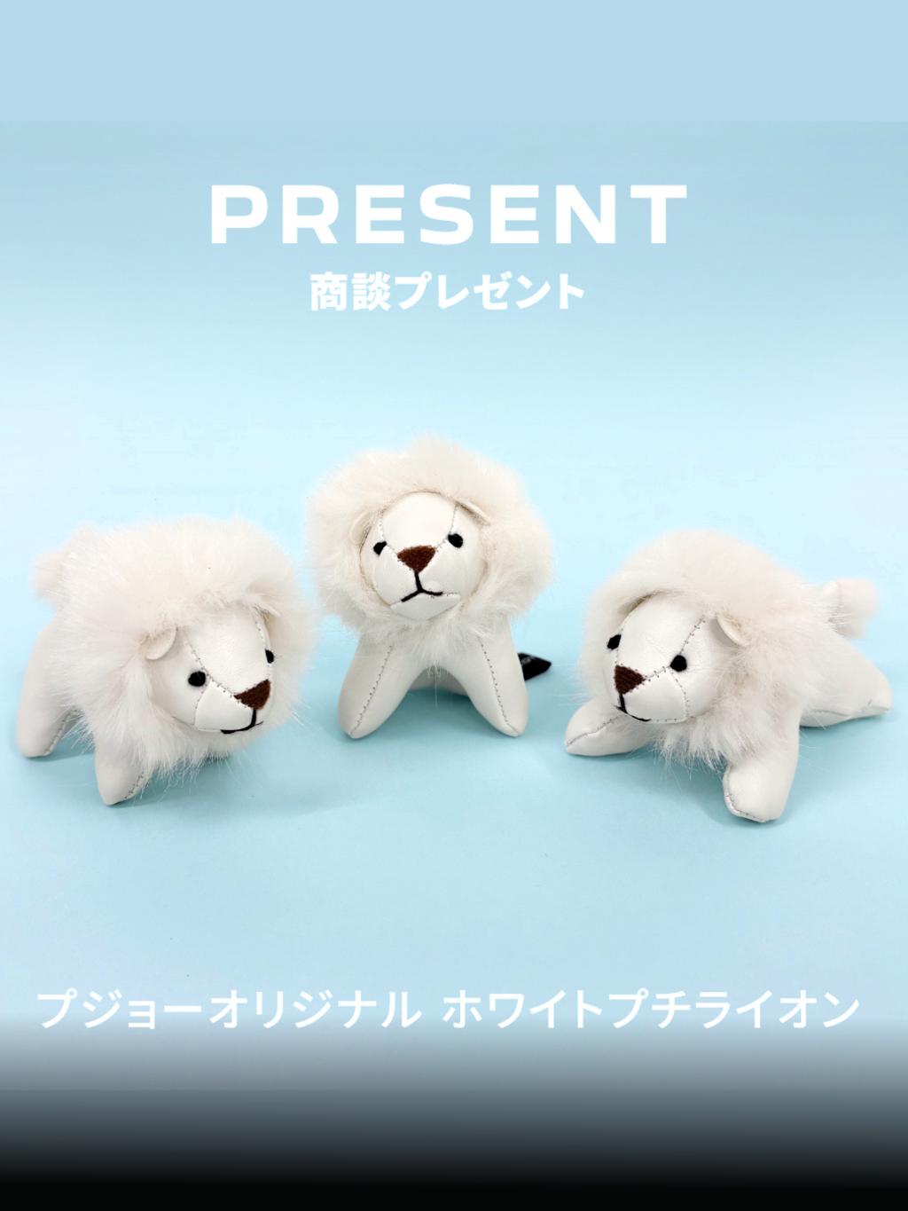NEW 3008​デビュー✨