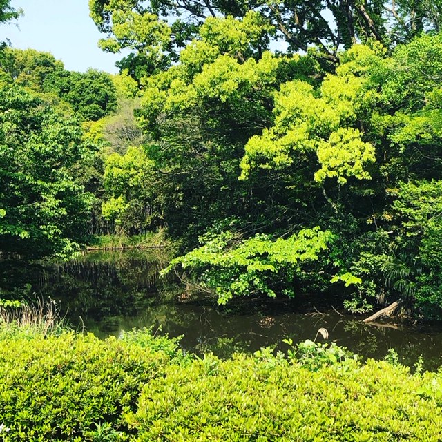 砧公園へ