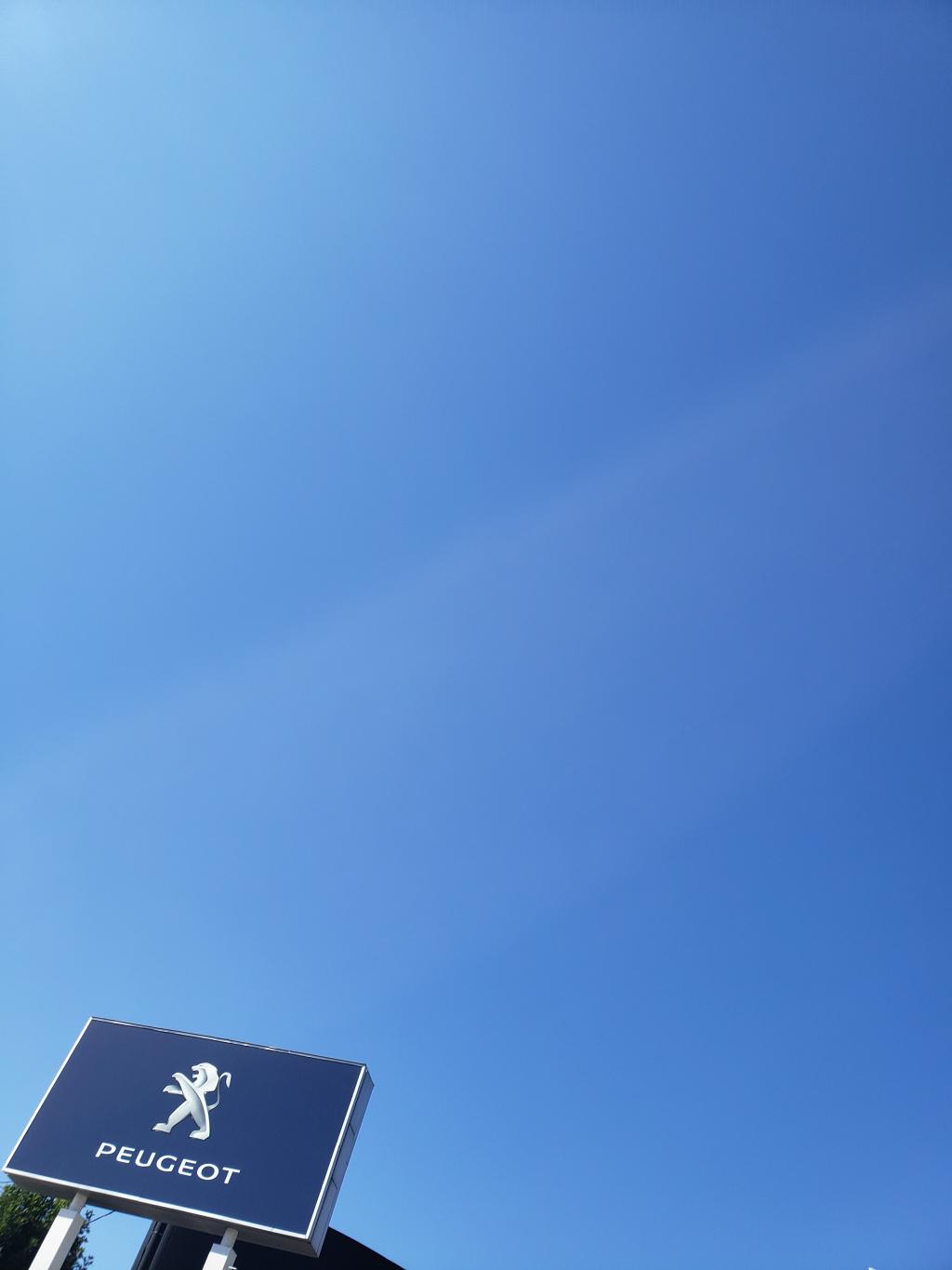 秋晴れ☀