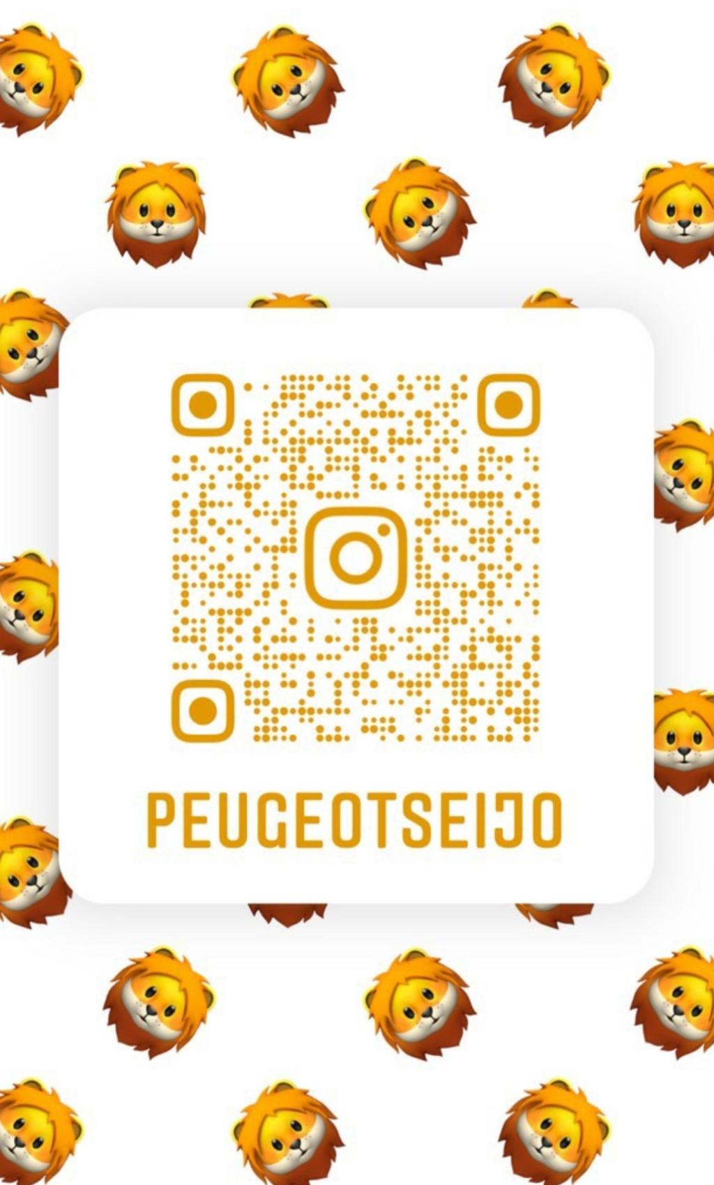 🦁Instagram　peugeotseijo🦁