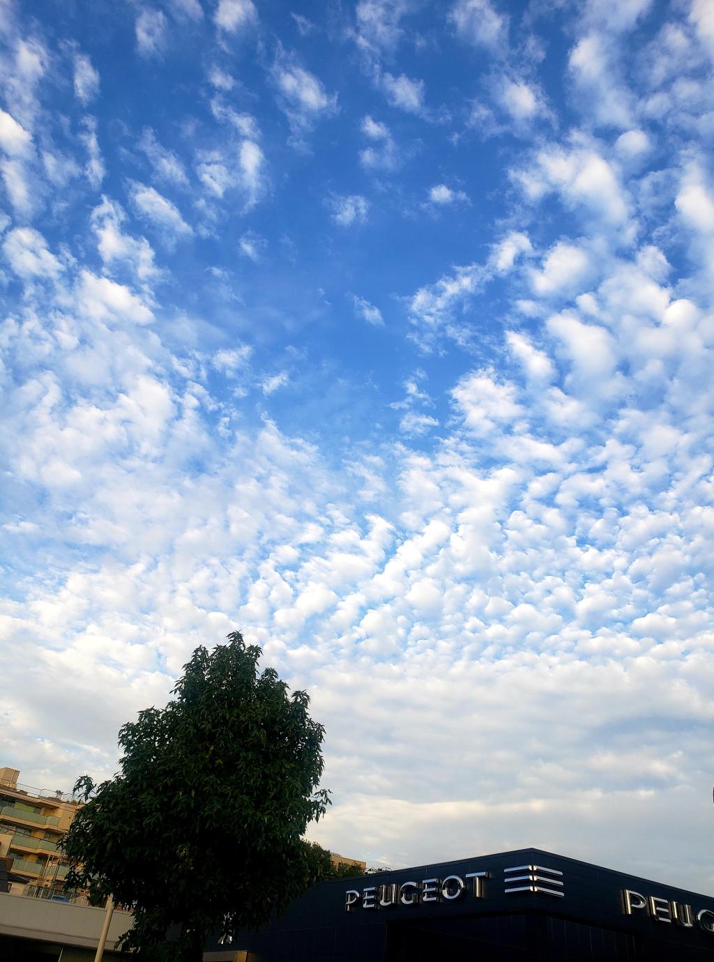 ⛅うろこ雲⛅