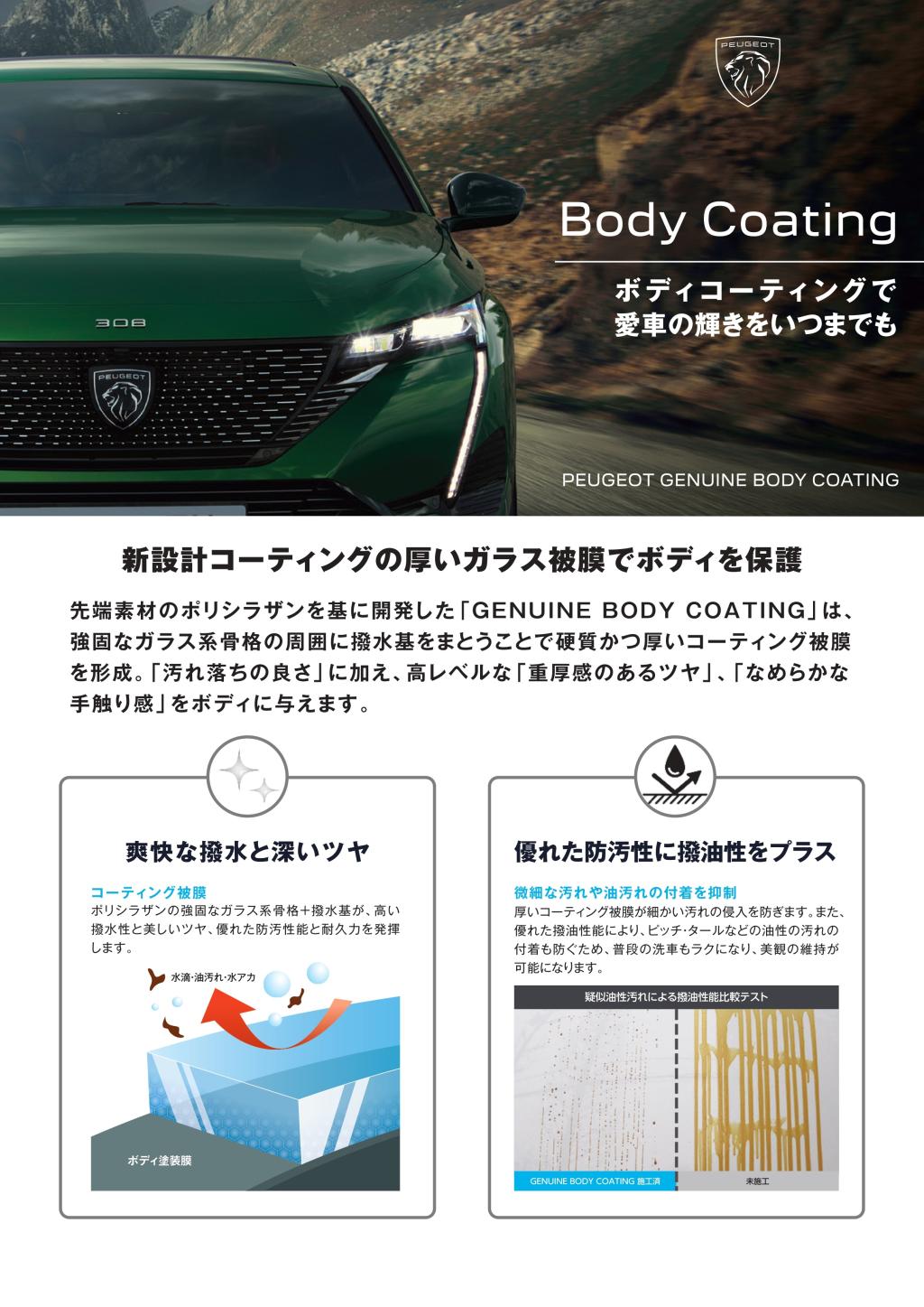 PEUGEOT GENUINE BODY COATING