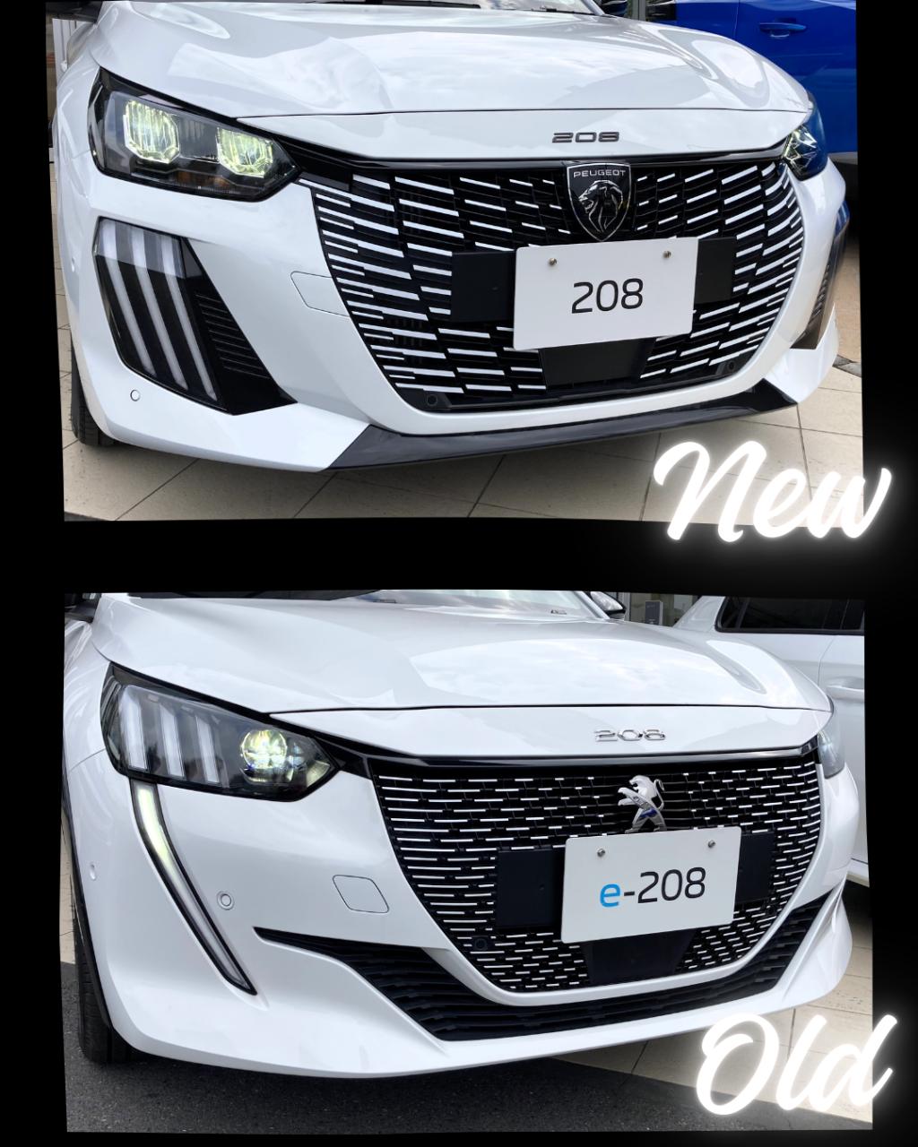 New 208 Before/After 🦁