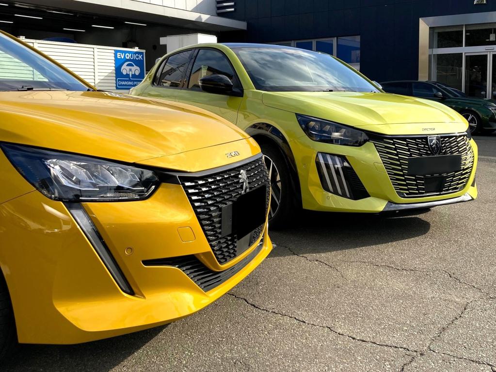 Which yellow do you prefer ?