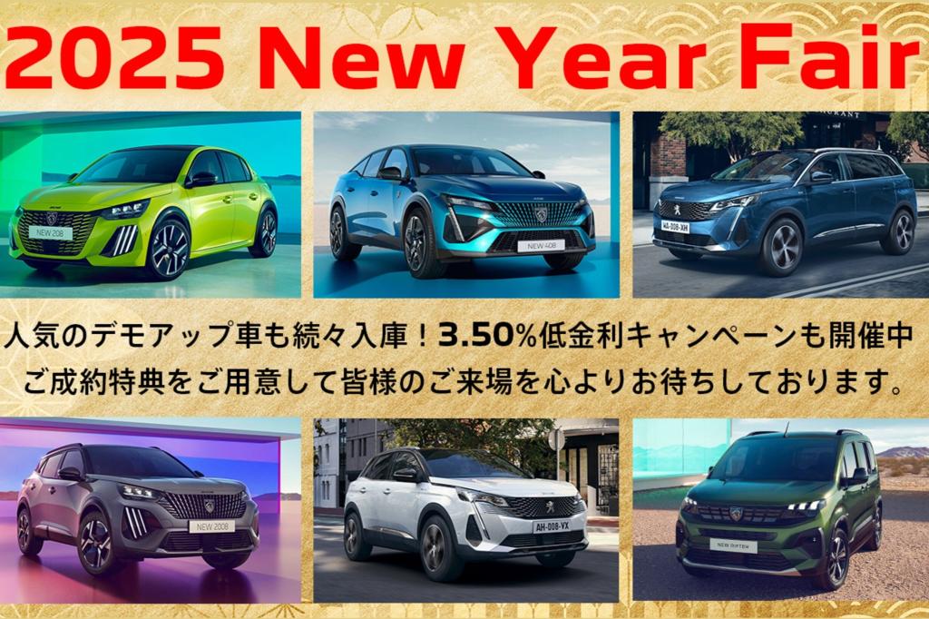 ODS peugeot new year .jpg