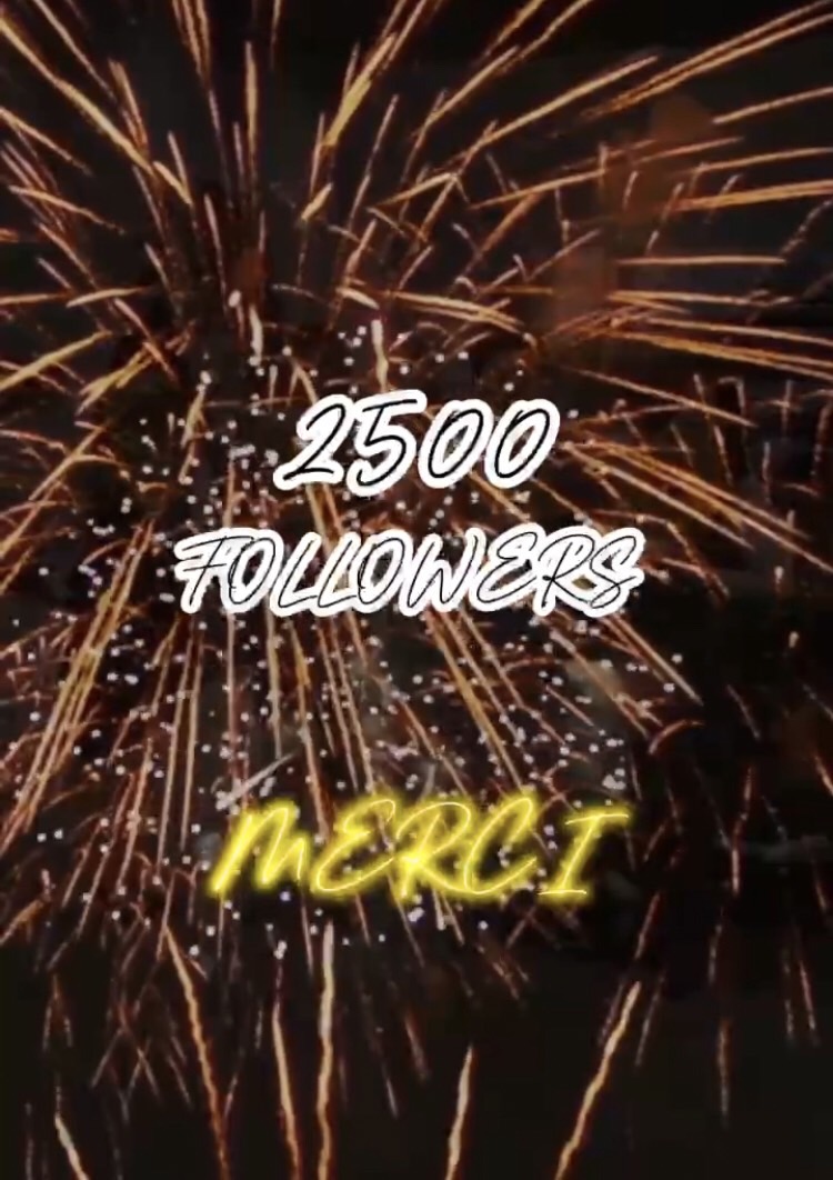 🎉フォロワー2500人達成～🎉