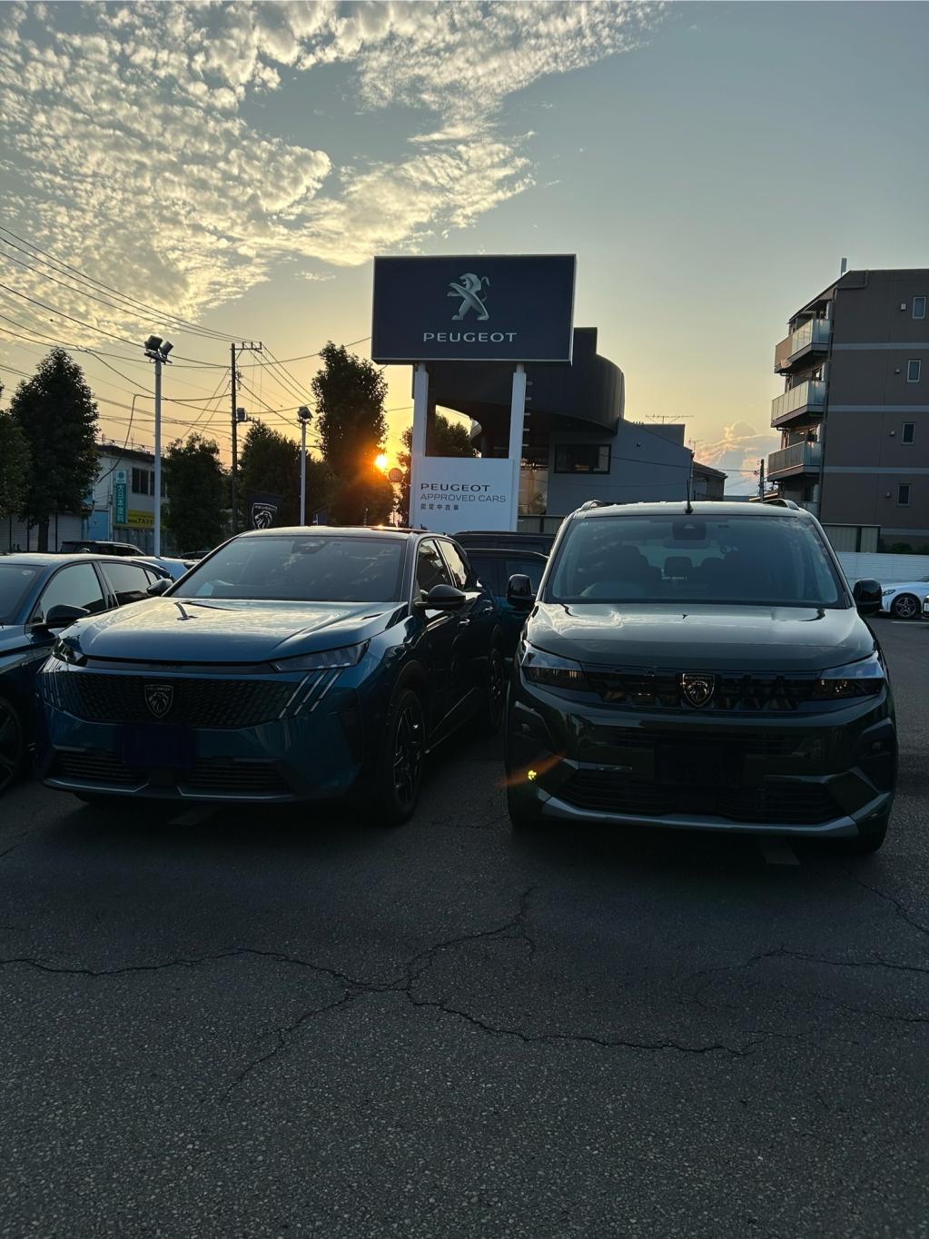 Peugeot成城店　夏の夕陽🌇