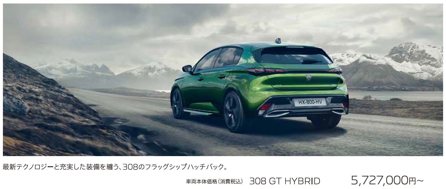PEUGEOT 3008