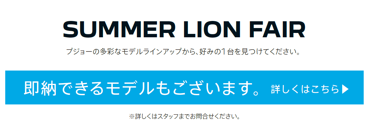 SUMMER LION FAIR